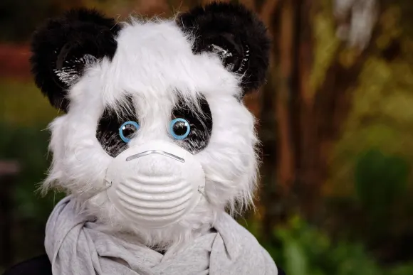 Юнибет Казино Поддръжка